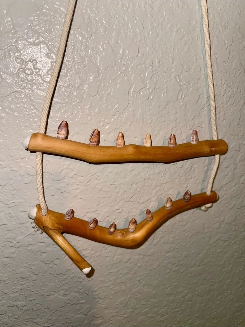 Driftwood And Rope Wall Hanging With Seashell Hooks For Jewelry